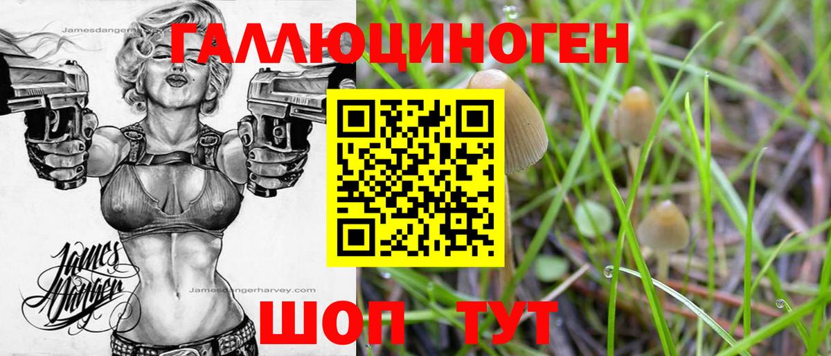 Псилоцибиновые грибы Magic Shrooms  Вход с VPN  Псилоцибиновые грибы GOLDEN TEACHER  Набережные Челны 